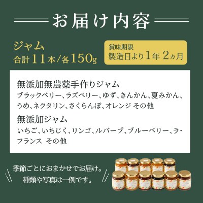 無添加無農薬手作りジャム11本セット(a18-009)