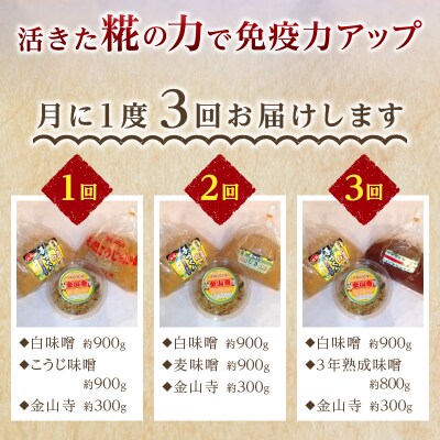 【定期便 3回】 味噌 食べ比べ + 金山寺セット(a29-011)