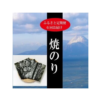 【定期便 6回】海苔 ギフト 初摘み 極 全型30枚(a65-039)