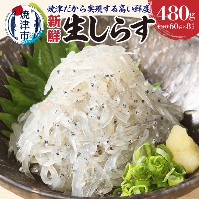 静岡県漁連 お刺身用冷凍生しらす(a10-419)