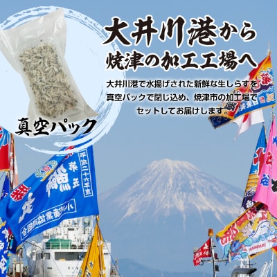 静岡県漁連 お刺身用冷凍生しらす(a10-419)