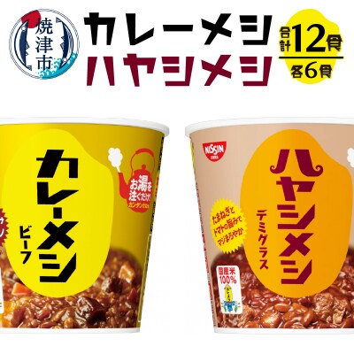 日清カレーメシとハヤシメシ(a13-101)