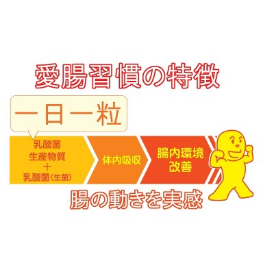 定期便 6ヶ月 腸活 サプリ 愛腸習慣 酵素 乳酸菌(a90-002)