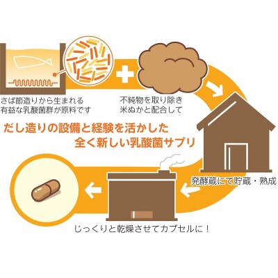 定期便 6ヶ月 腸活 サプリ 愛腸習慣 酵素 乳酸菌(a90-002)