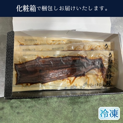 【無添加】静岡県産 うなぎ 長焼き 140g 3尾(a24-050)
