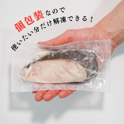 銀鱈粕漬け(約80g×10切れ)銀だら 銀ダラ(a12-115)