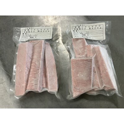 天然ミナミマグロ 訳あり 中トロ(サク) 約800g入り(a20-327)