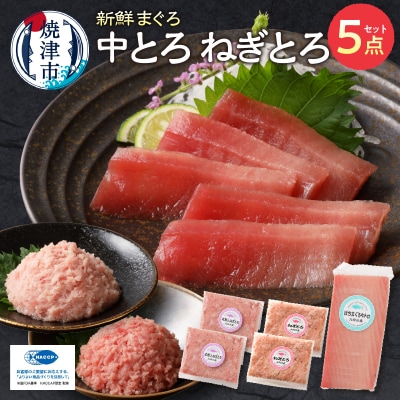 まぐろ 中トロ ねぎとろ 焼津 マグロ 詰合せ セット S3(a11-042)