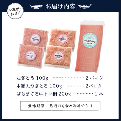 まぐろ 中トロ ねぎとろ 焼津 マグロ 詰合せ セット S3(a11-042)