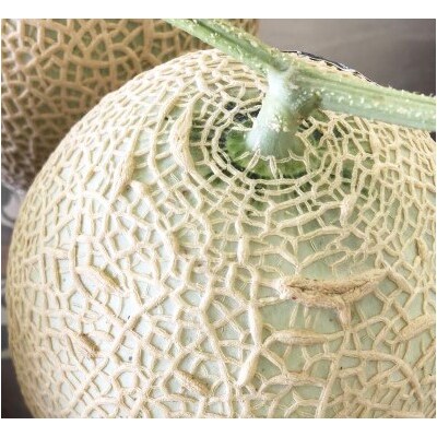 訳あり 静岡マスクメロン【1玉】×定期便3回(a36-008)