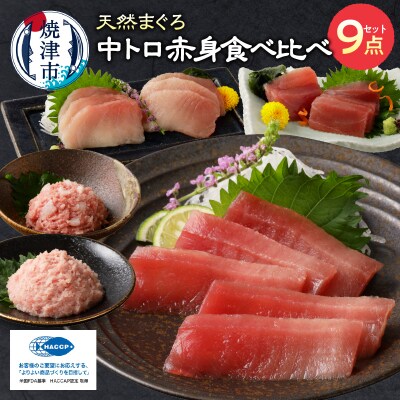 マグロ 中トロ 赤身 ねぎとろ S6(a20-365)