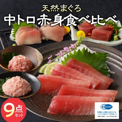 マグロ 中トロ 赤身 ねぎとろ S6(a20-365)