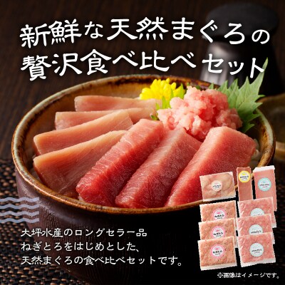 マグロ 中トロ 赤身 ねぎとろ S6(a20-365)