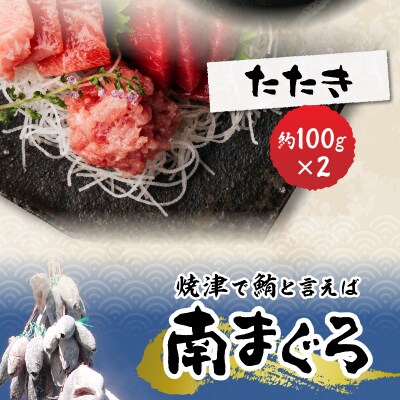 総重量約800g!天然南鮪づくし(a20-242)