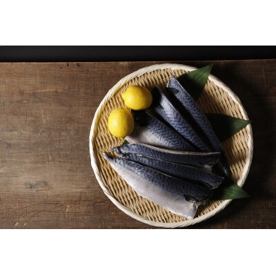 5.0kg以上!国内産 無添加 塩熟 さば フィレ(a28-012)