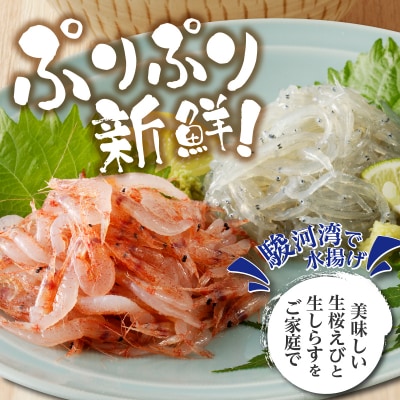 お刺身・生桜えび、生しらす・各2(a10-906)