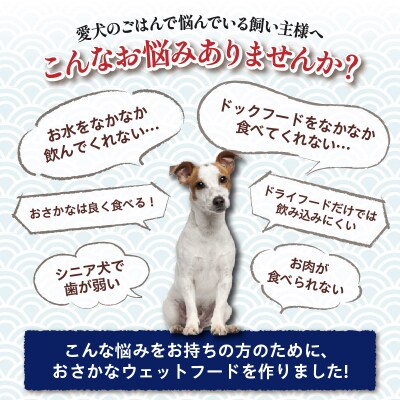 愛犬用焼津産かつおまぐろのおさかなウェットセット(a15-559)