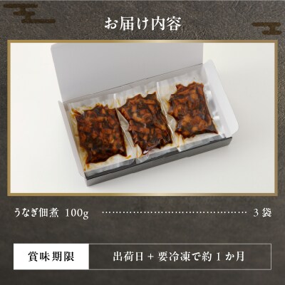 うなぎ佃煮100g×3パック(a10-930)