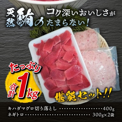 天然鮪を贅沢に使用したネギトロと切落しセット(a10-934)
