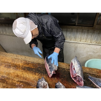 ねこのかつおくん 8パック セット(a10-956)