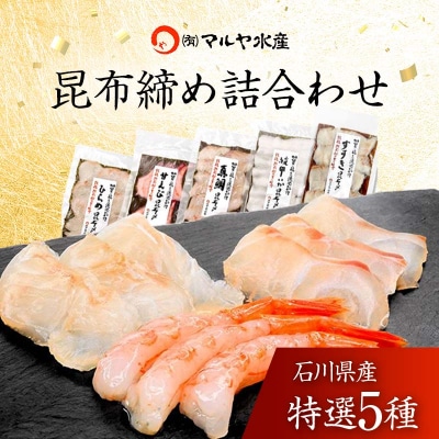 昆布締め詰合せ おまかせ5種 無添加 昆布締め 刺身 おまかせ セット F6P-0562