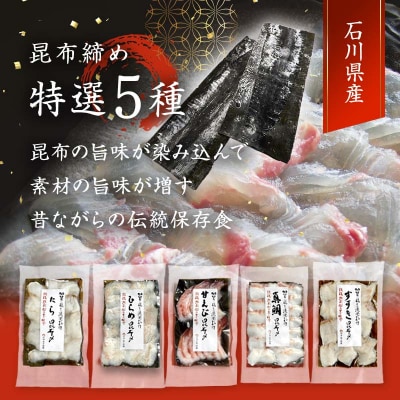 昆布締め詰合せ おまかせ5種 無添加 昆布締め 刺身 おまかせ セット F6P-0562