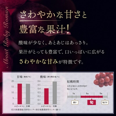 【先行受付】ルビーロマン 1房 500g ぶどう F6P-2104