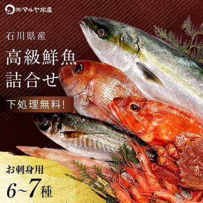旬の鮮魚詰合せ 6～7種 下処理済み 刺身 鮮魚 海の幸 魚 F6P-0564