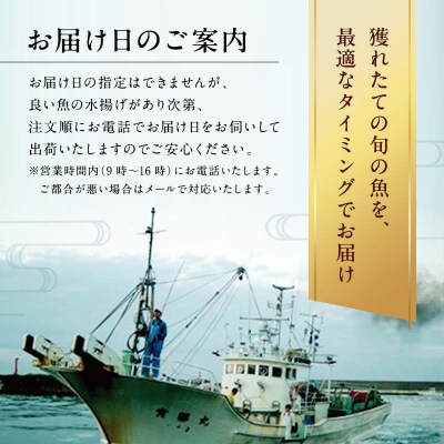 旬の鮮魚詰合せ 6～7種 下処理済み 刺身 鮮魚 海の幸 魚 F6P-0564