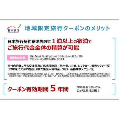 日本旅行 地域限定旅行クーポン チケット F6P-1019