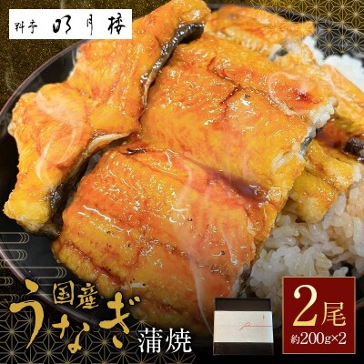 国産うなぎの蒲焼 2尾 約400g 料亭 明月楼 青山椒付き 鰻の蒲焼き 鰻 F6P-2708