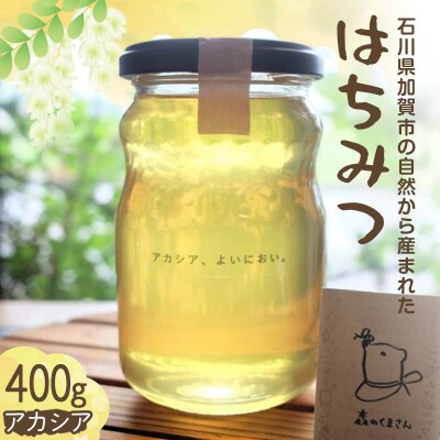 石川県産はちみつ あかしあ 400g ハチミツ 蜂蜜 加工品 調味料 食品 F6P-2816