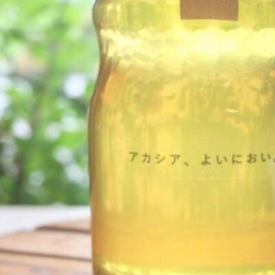 石川県産はちみつ あかしあ 400g ハチミツ 蜂蜜 加工品 調味料 食品 F6P-2816