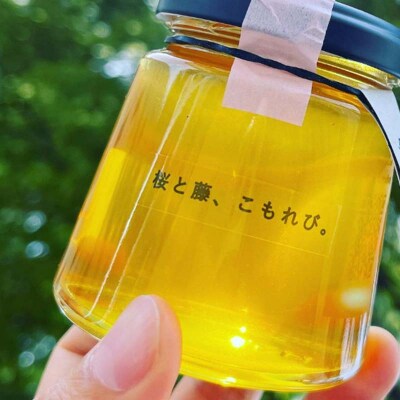 石川県産はちみつ あかしあ 160g×桜と藤 160g ハチミツ 蜂蜜 食品 F6P-2817