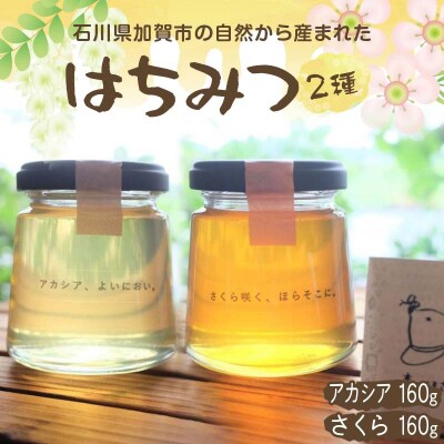 石川県産はちみつ あかしあ 160g×さくら 160g ハチミツ 蜂蜜 食品 F6P-2818