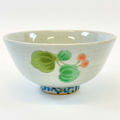 九谷焼 飯碗 山帰来 伝統色絵磁器 九谷五彩 手描き 一点もの 茶碗 碗 F6P-2866