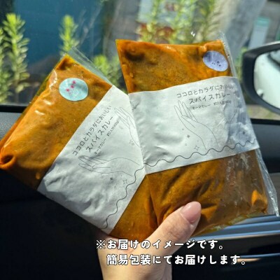みちに八角 特製スパイスキーマカレー 1P 2食分 カレー スパイス キーマ F6P-3125