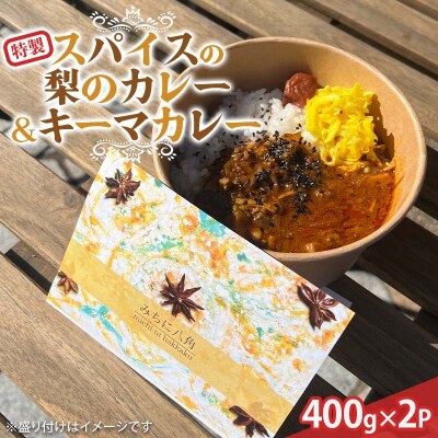 みちに八角 特製スパイスの梨のカレー キーマカレー 2P 2食分×2袋 カレー F6P-3126