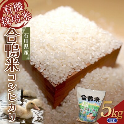 令和7年産 有機栽培米 コシヒカリ 精米5kg F6P-2992