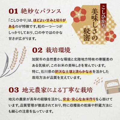 【最短5営業日発送】令和8年産こしひかり 5kg 生活応援米 F6P-3423