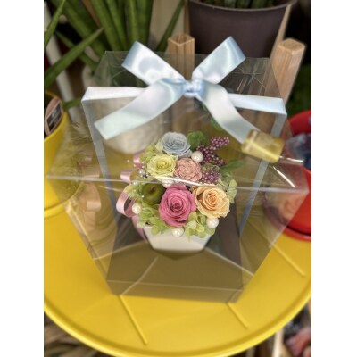 プリザーブドフラワー【クリアケース入り】(a17-068)