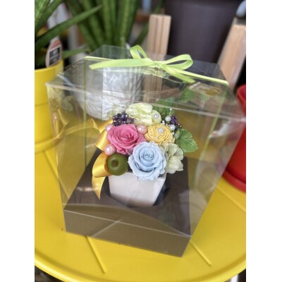プリザーブドフラワー【クリアケース入り】(a13-056)
