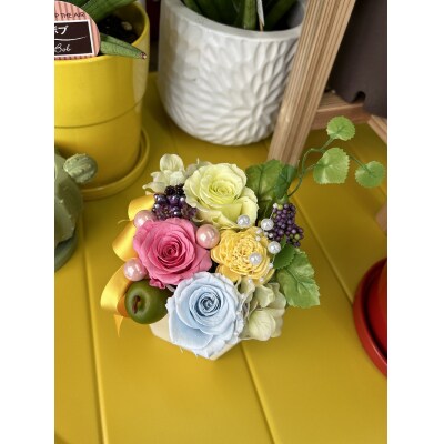 プリザーブドフラワー【クリアケース入り】(a13-056)