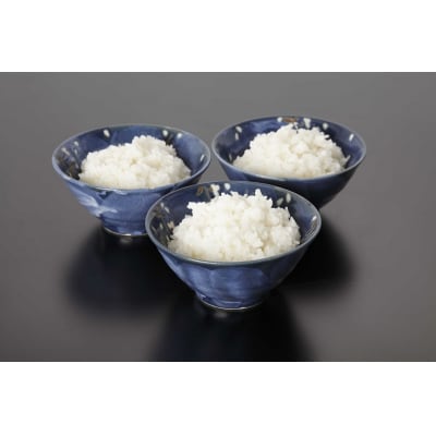 非常食 白いご飯 10食 防災 備蓄 キャンプ 5年保存(a10-987)