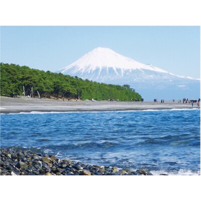 焼津産一本釣り わら松葉炙りかつお 約1kg(a10-1026)