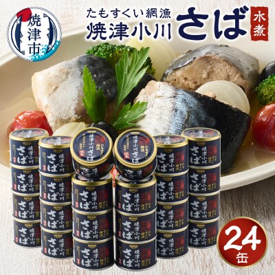 たもすくい網漁 焼津小川さば水煮 24缶セット(a25-046)