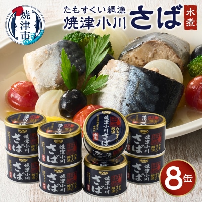 たもすくい網漁 焼津小川さば水煮 8缶セット(a10-1029)