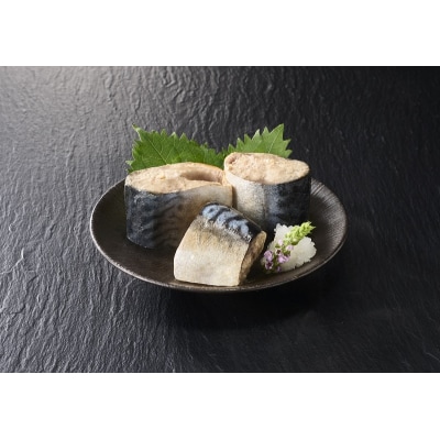 たもすくい網漁 焼津小川さば水煮 8缶セット(a10-1029)