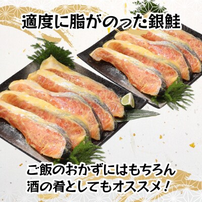 銀鮭 西京漬 10切入(個包装真空パック)(a12-186)