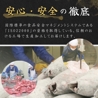 天然 海のダイヤ 南鮪 ネギトロ 約100g×10(a30-269)